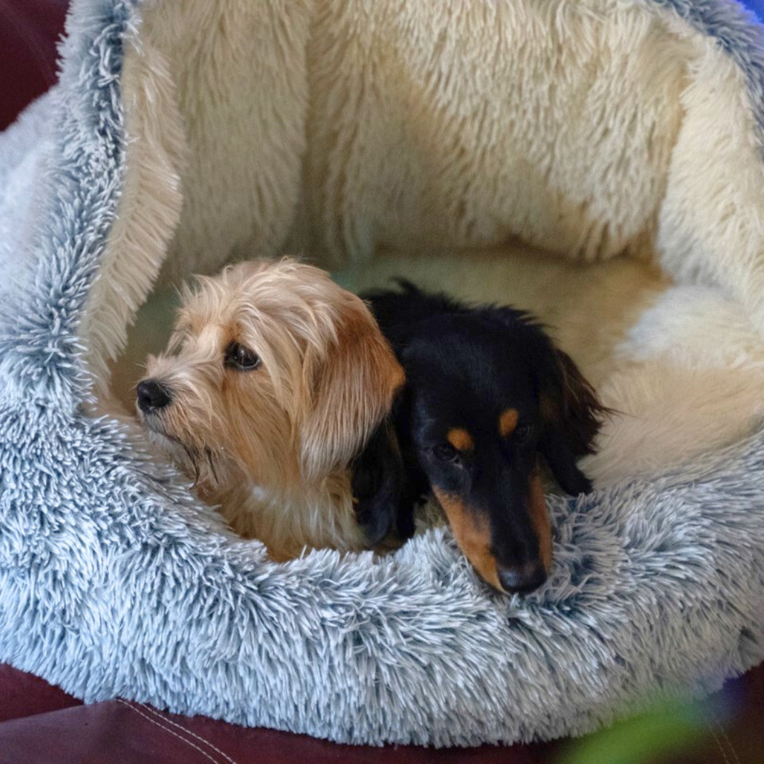 Snuggle Cave